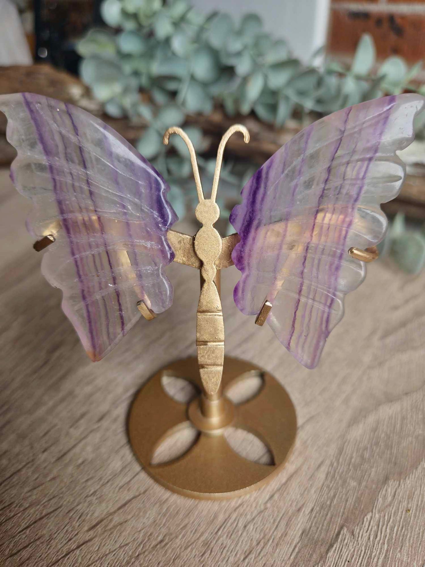 FLUROITE BUTTERFLY ON STAND #1