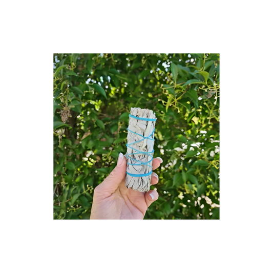 SAGE STICK - SMALL