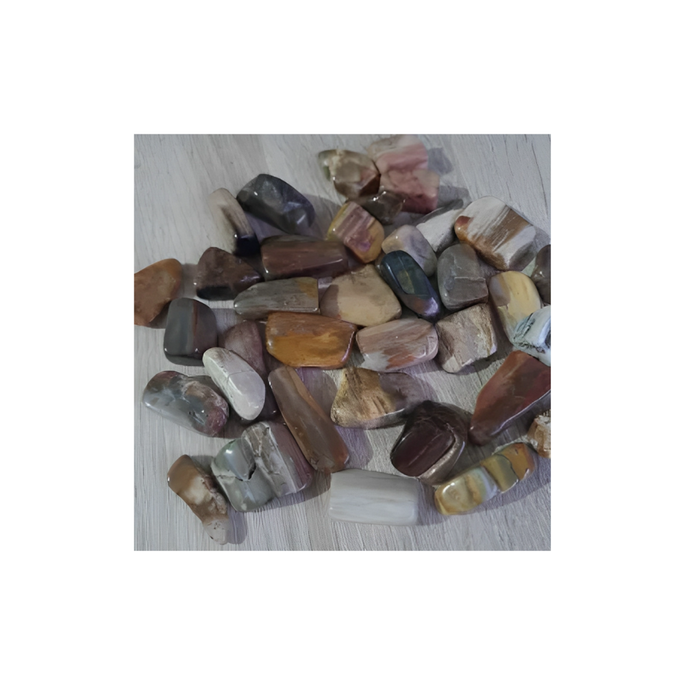 PETRIFIED WOOD