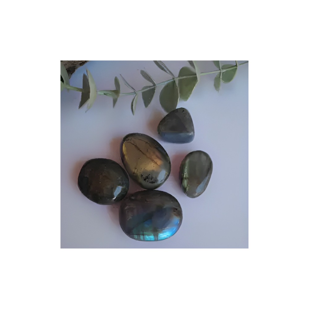 LABRADORITE TUMBLES - X LARGE