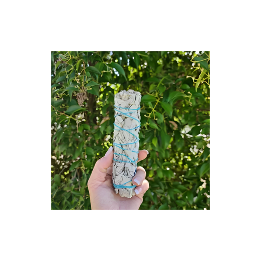 SAGE STICK MEDIUM