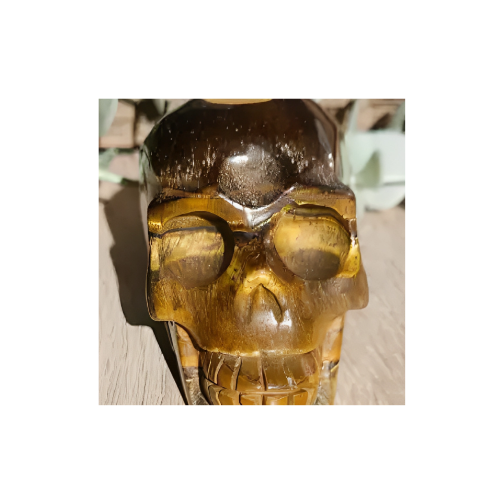 Tiger’s Eye Skull Carving – Crystal for Courage, Focus & Protection