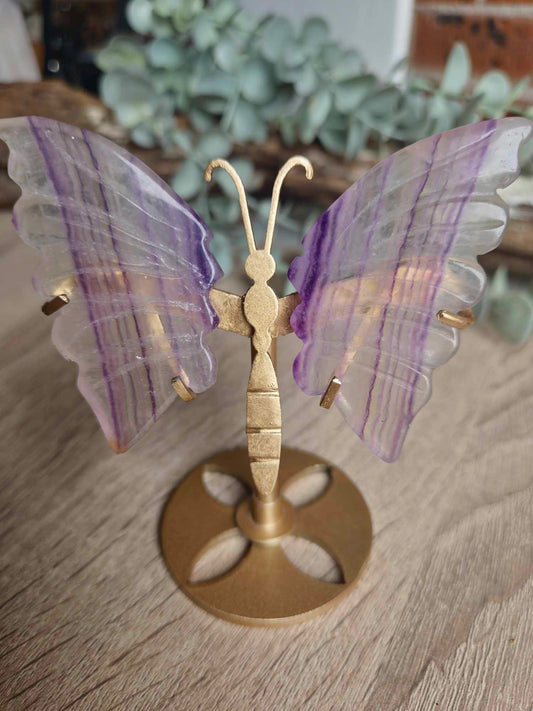 FLUROITE BUTTERFLY ON STAND #1