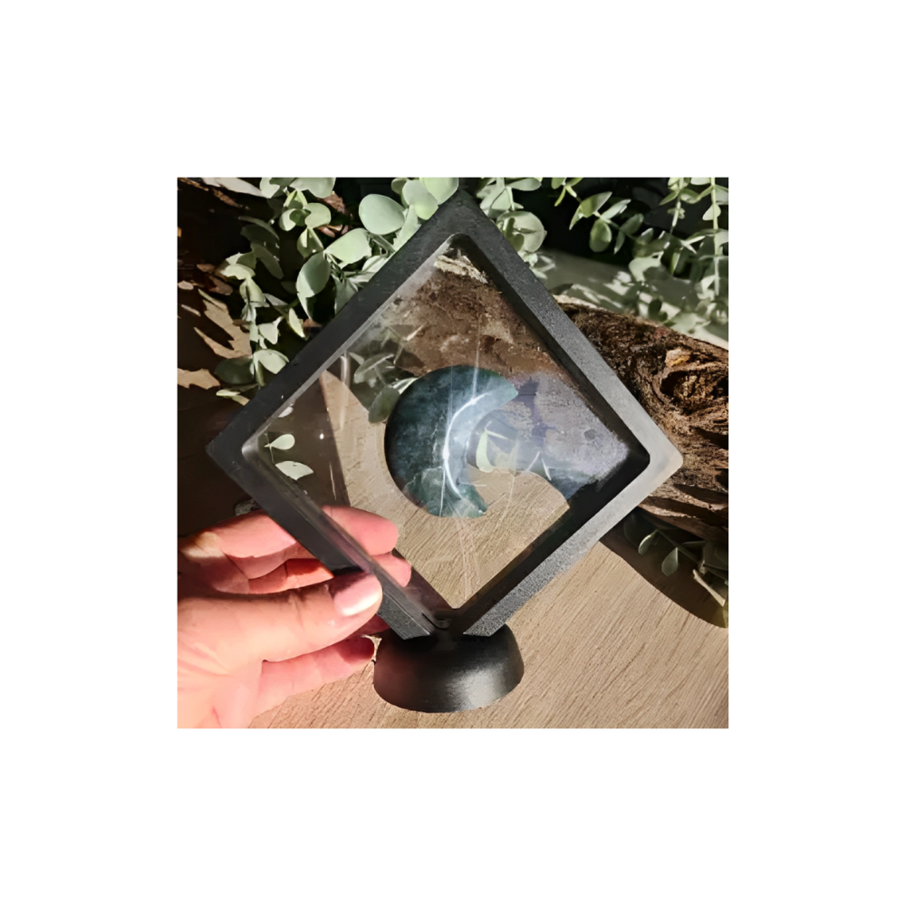 DISPLAY CASE WITH STAND