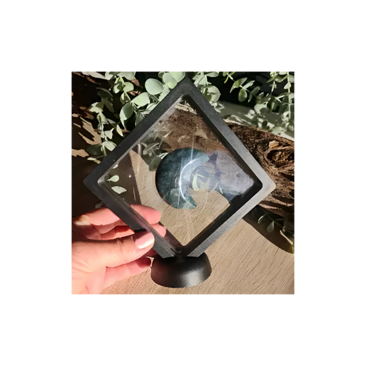 DISPLAY CASE WITH STAND