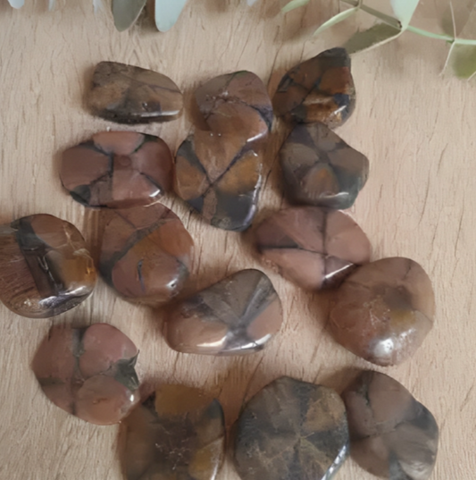 Chiastolite – Cross Stone for Protection, Grounding & Spiritual Insight