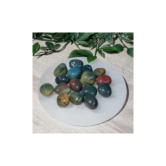 Bloodstone Jasper Tumbled Stones – Vitality, Courage & Healing Energy