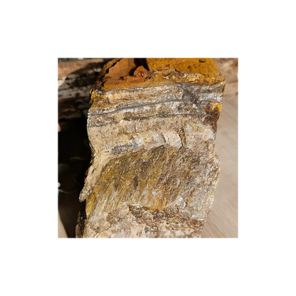 NATURAL TIGERS EYE