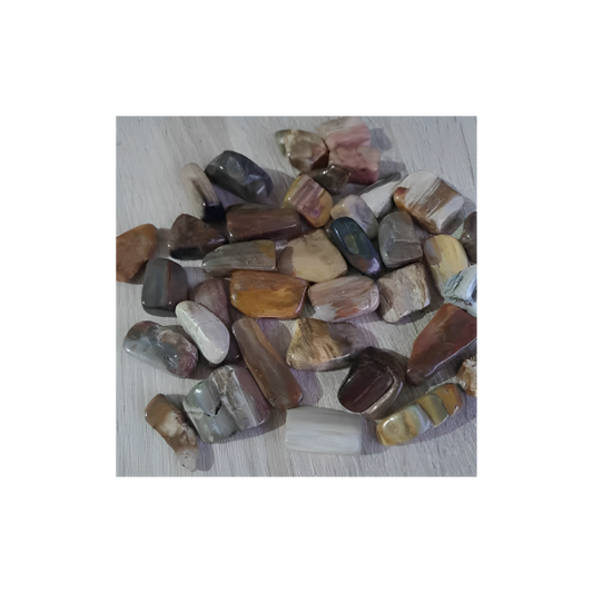 PETRIFIED WOOD