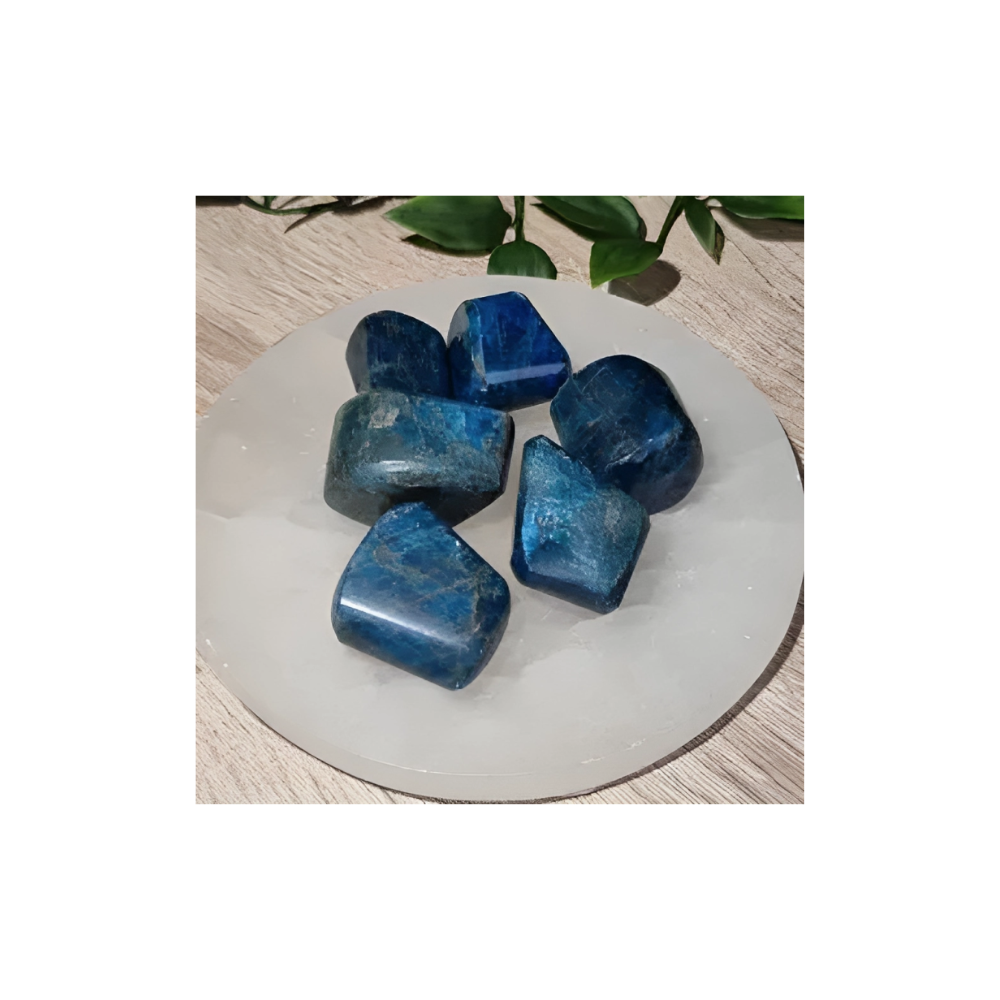 Blue Apatite Tumbled Crystals – Clarity, Confidence & Chakra Healing