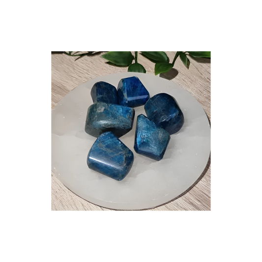 Blue Apatite Tumbled Crystals – Clarity, Confidence & Chakra Healing