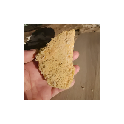 Orange Halite – Raw Confidence & Clarity Crystal for Chakra Healing #3