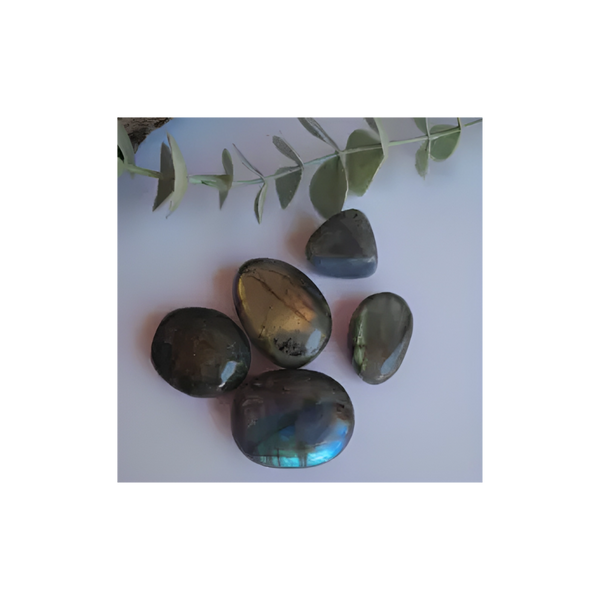 LABRADORITE TUMBLES - X LARGE