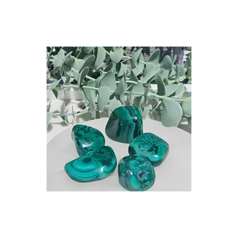 MALACHITE TUMBLED- LARGE