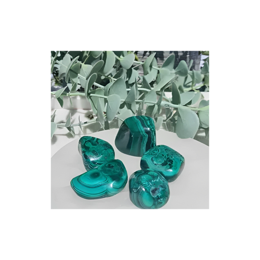 MALACHITE TUMBLED- LARGE