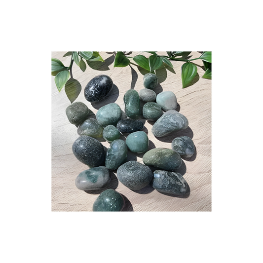 MOSS AGATE TUMBLED