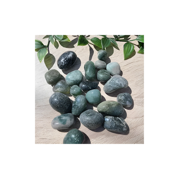 MOSS AGATE TUMBLED