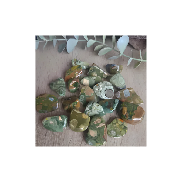 RAINFOREST JASPER