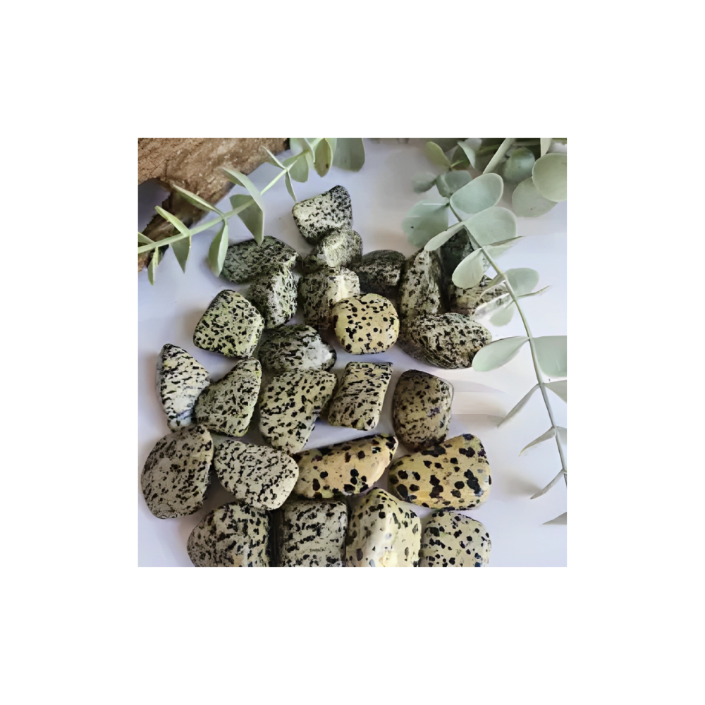 DALMATION JASPER