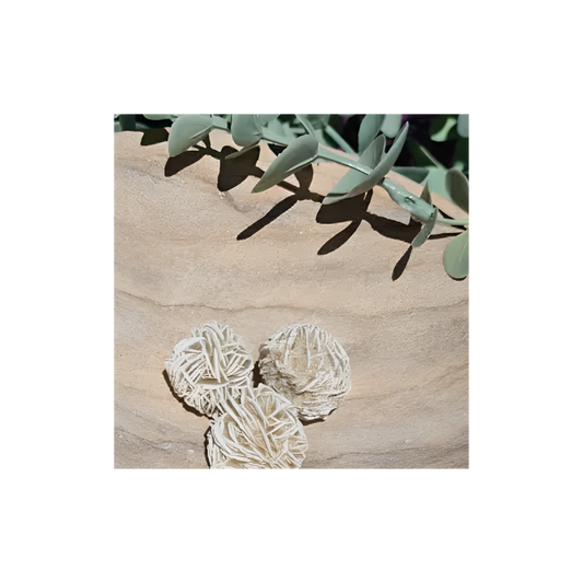 DESERT ROSE